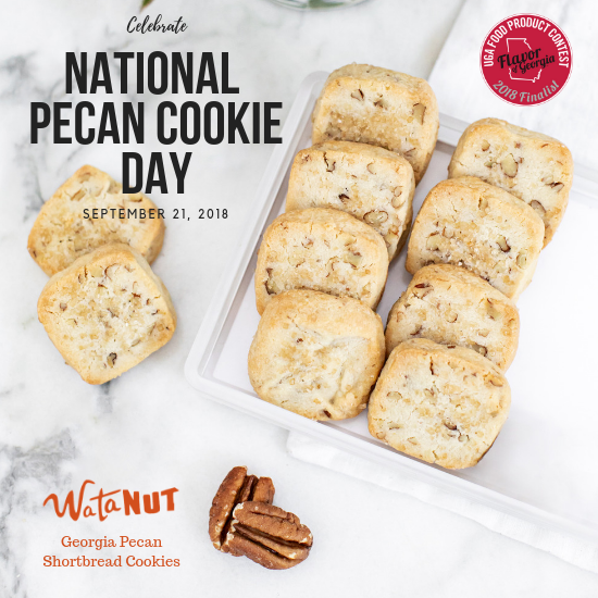 Celebrate National Pecan Cookie Day, September 21st